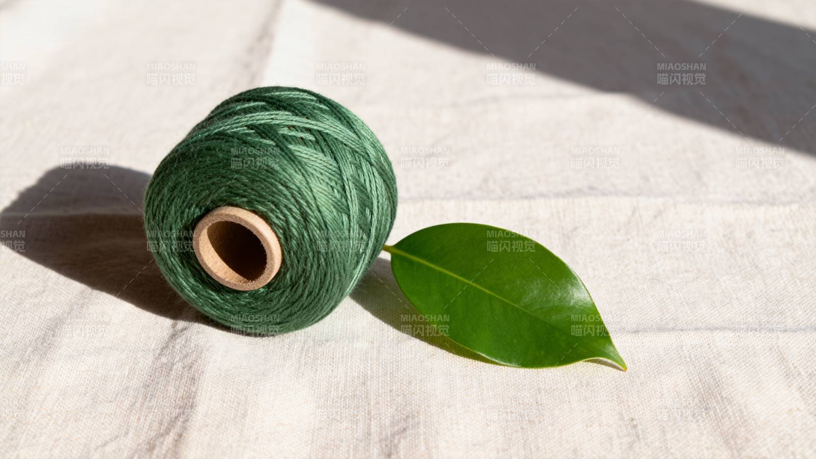 绿线与叶静置布上图片