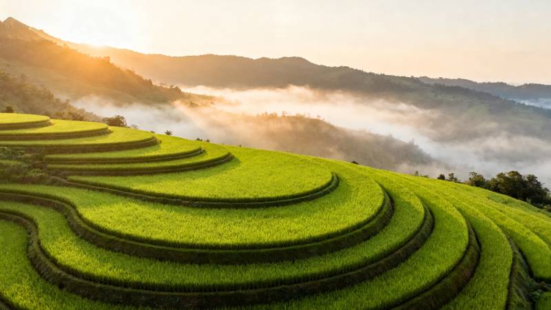 梯田晨雾美景图片