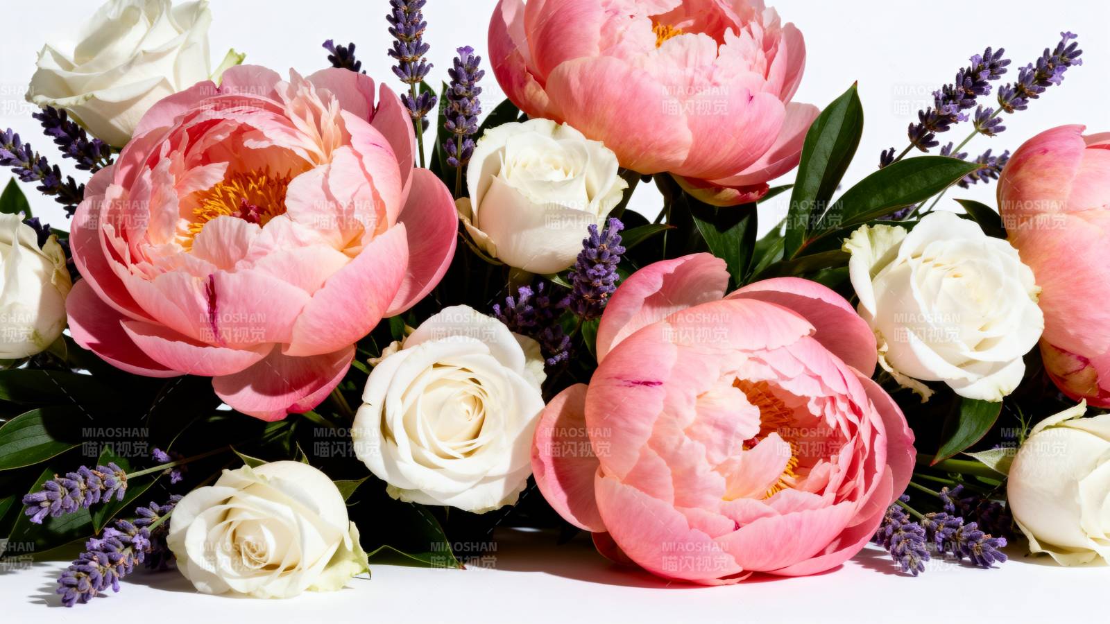 粉白花束静谧绽放图片