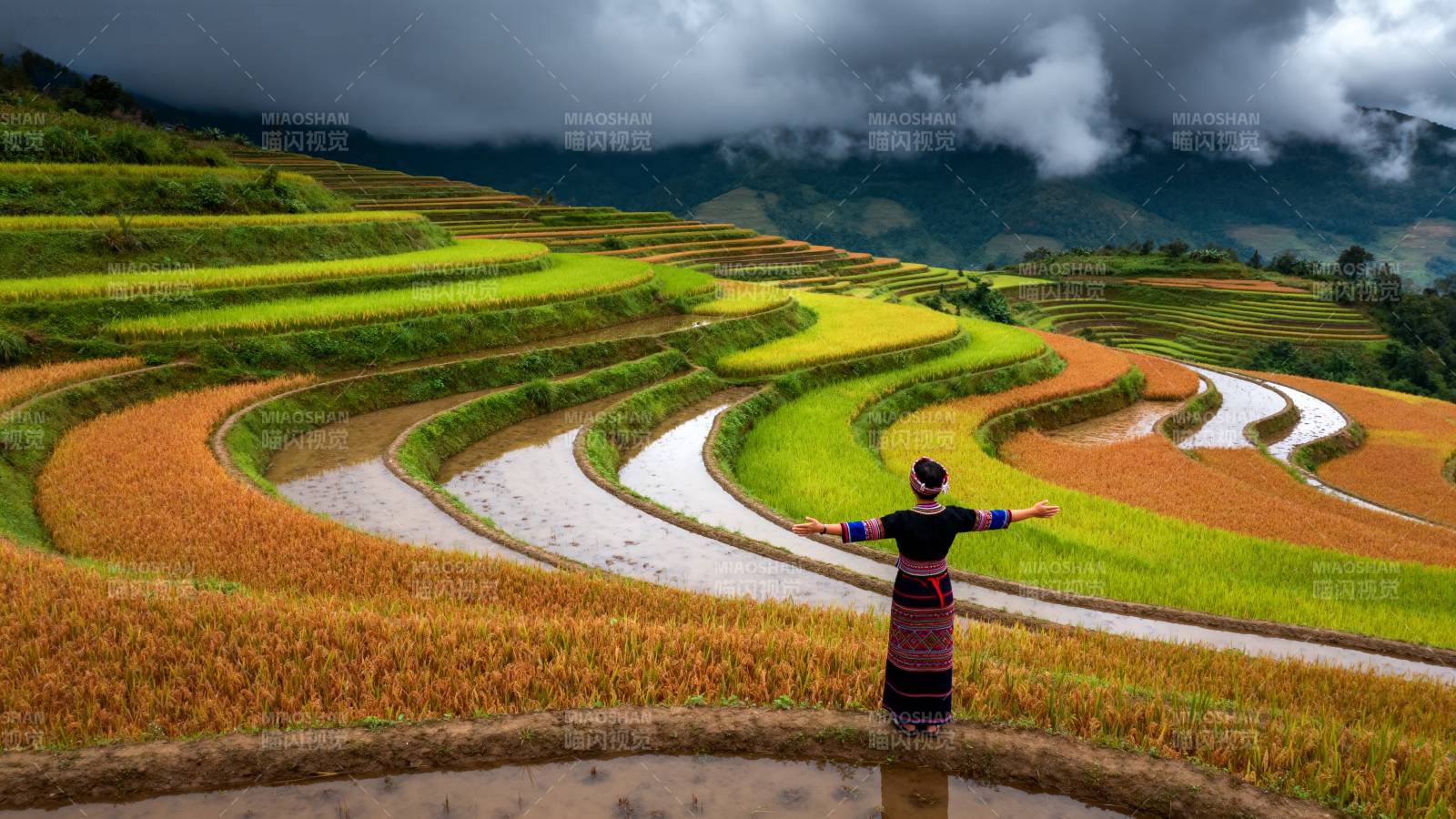 梯田上的舞者图片