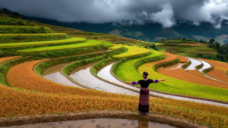 梯田上的舞者图片