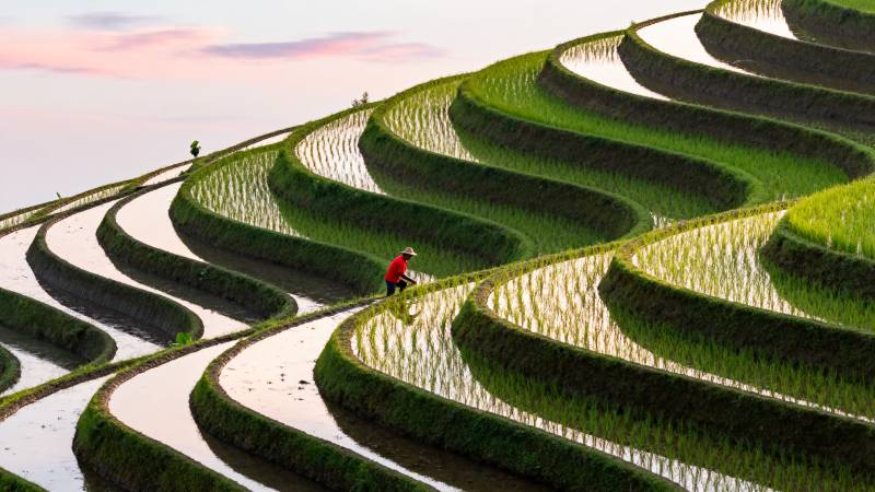 梯田晨曦耕作图图片