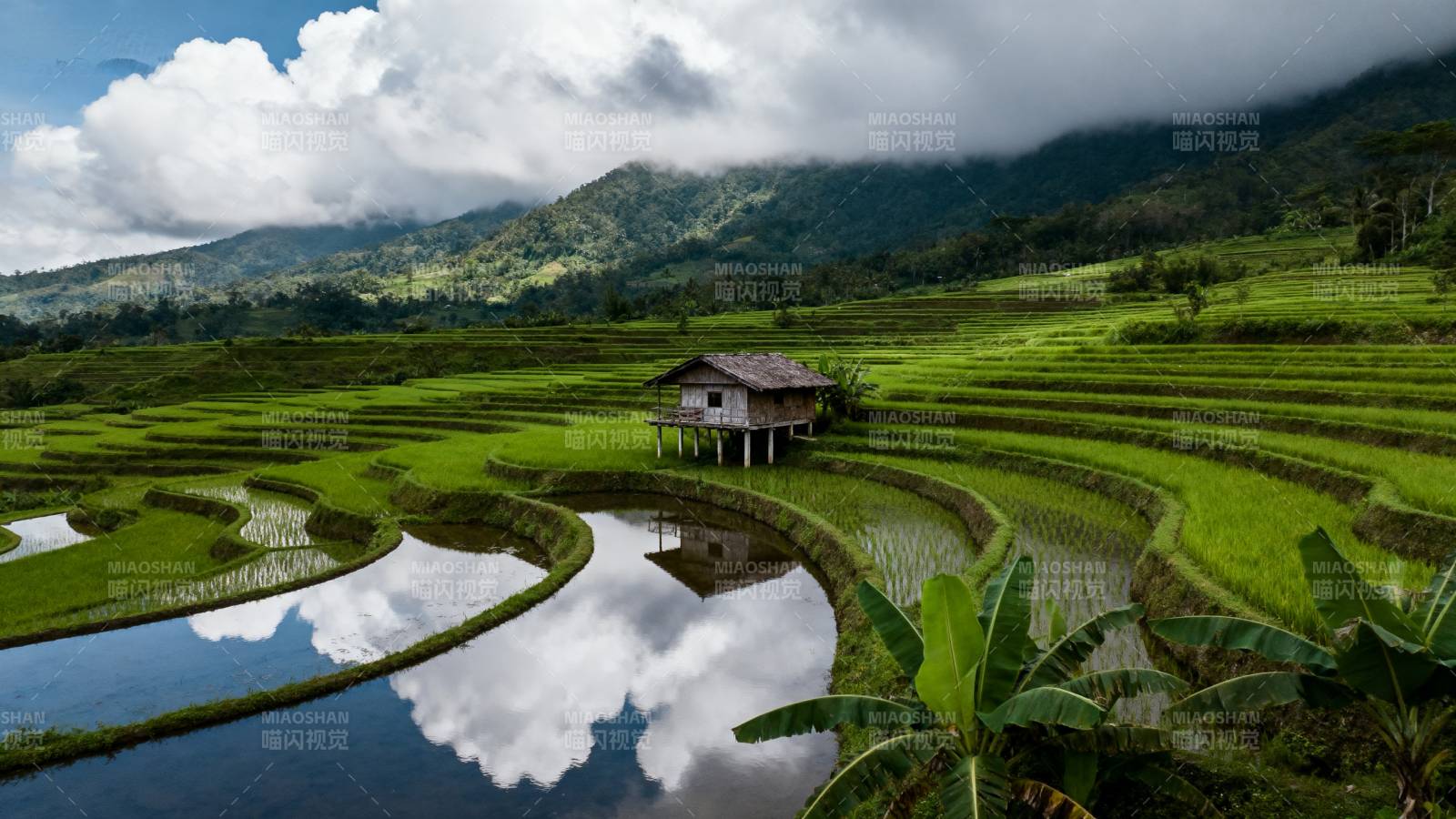 梯田云影屋舍图片
