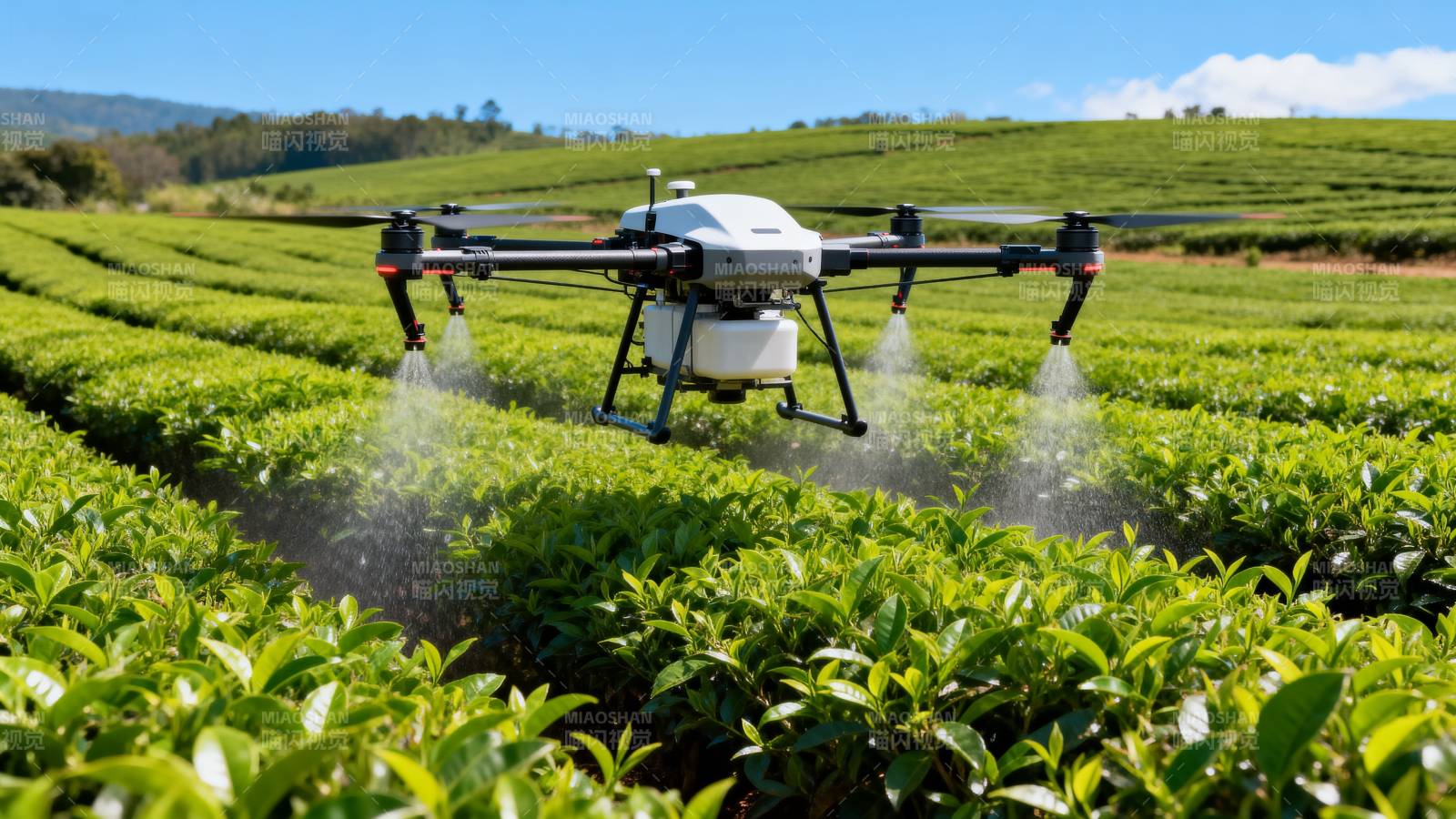 无人机喷洒茶园图片
