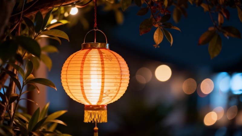 夜灯映叶 温馨静谧图片