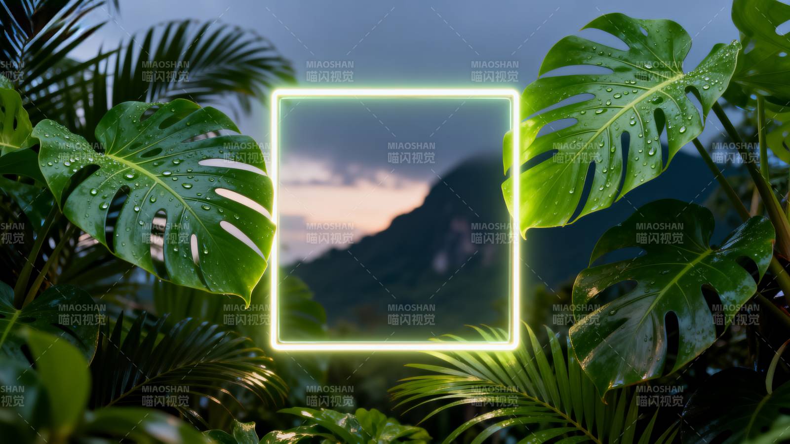 热带雨林夜景框图片