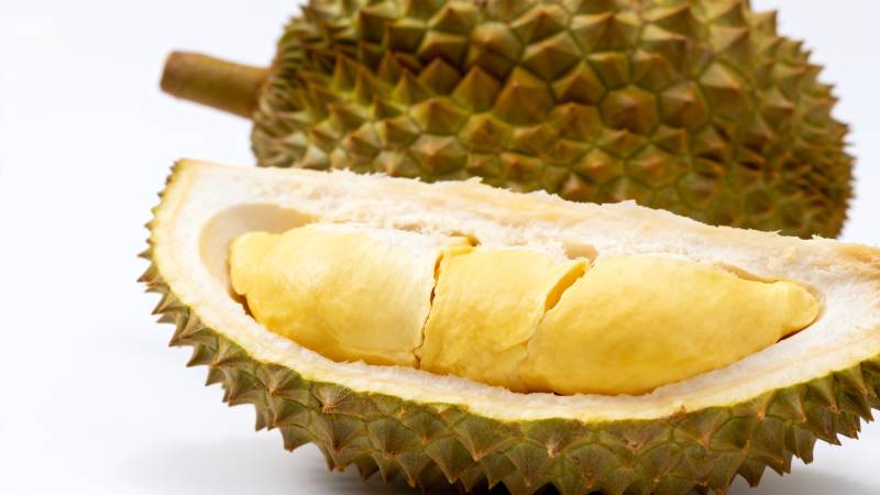 榴莲果肉特写图片