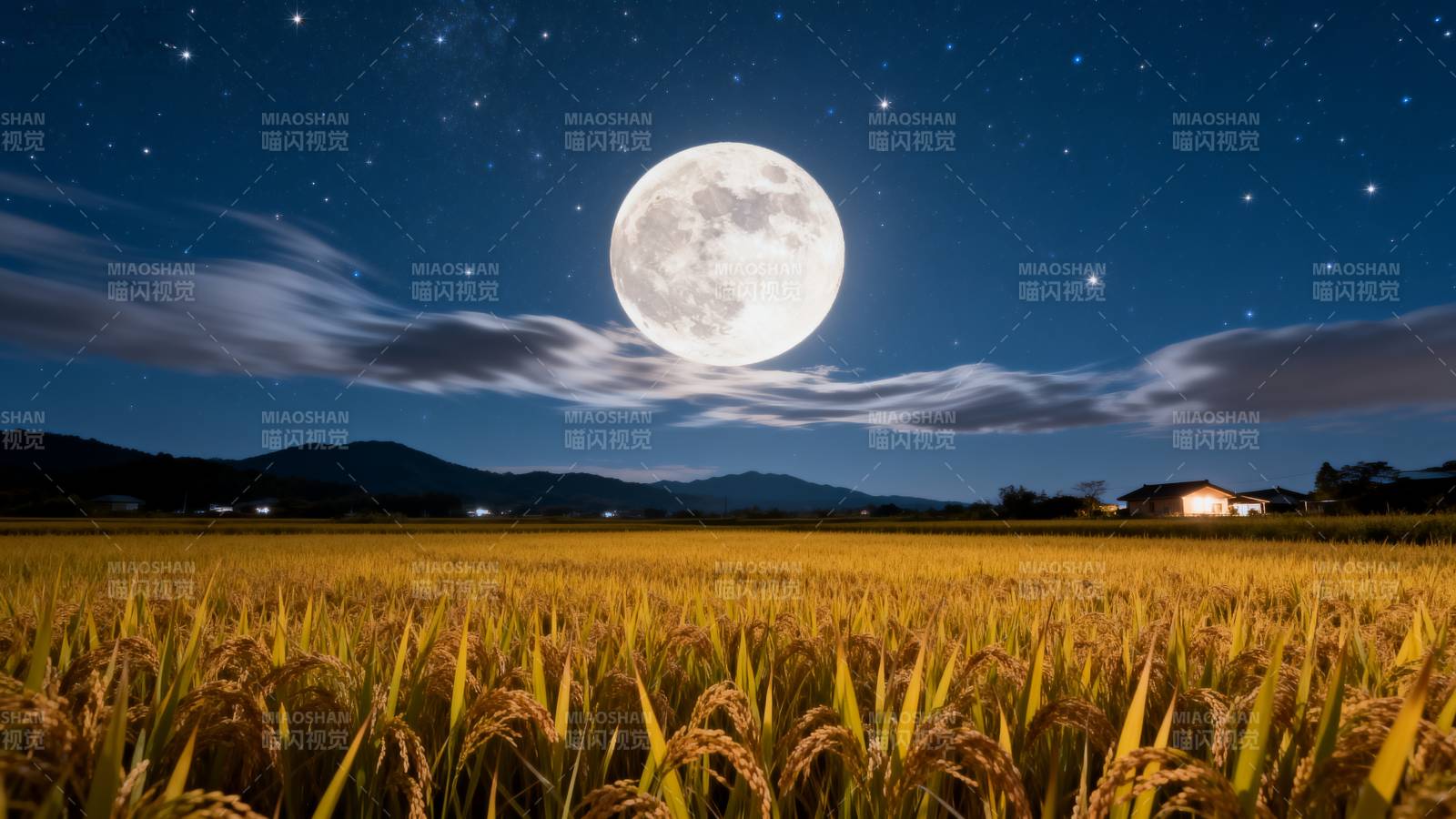 月夜稻田图片
