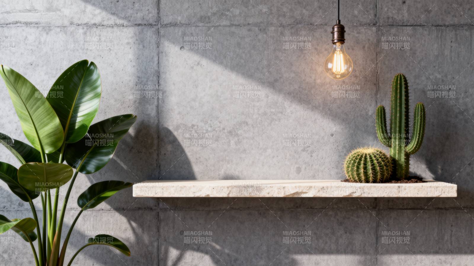 绿植与光影的静谧角落图片