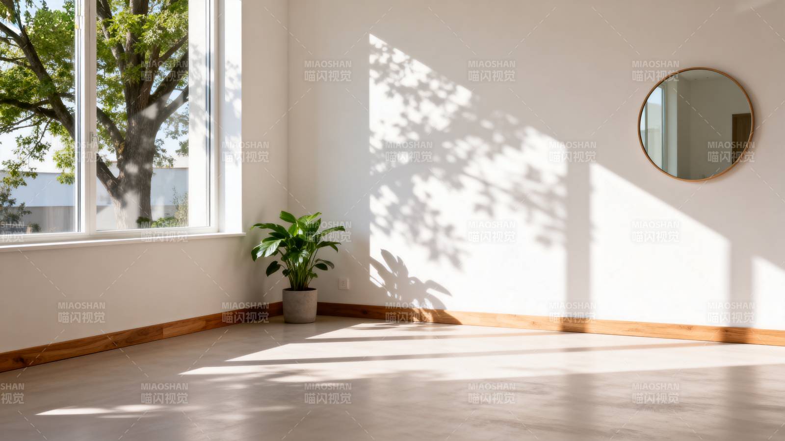 阳光洒满的空房间图片