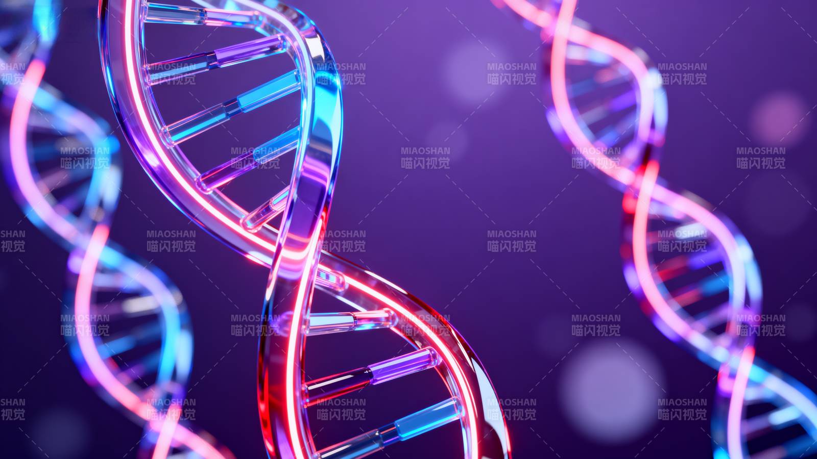 DNA双螺旋结构图片