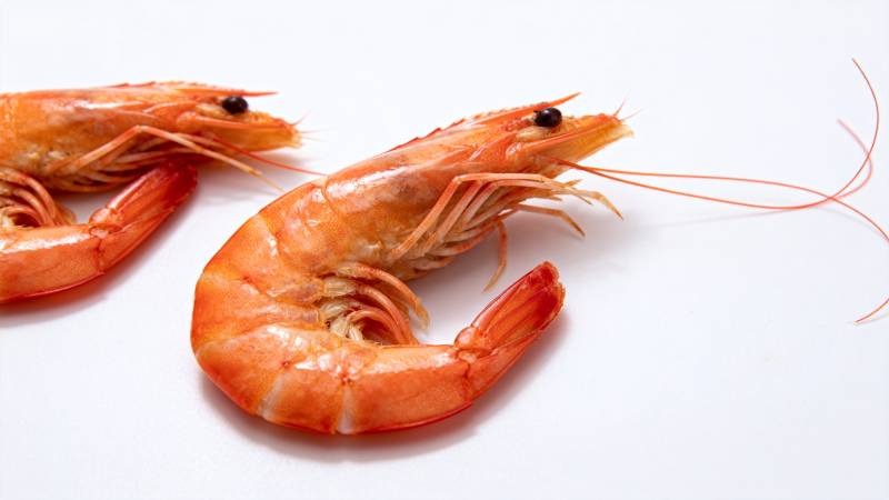 鲜嫩大虾特写图片