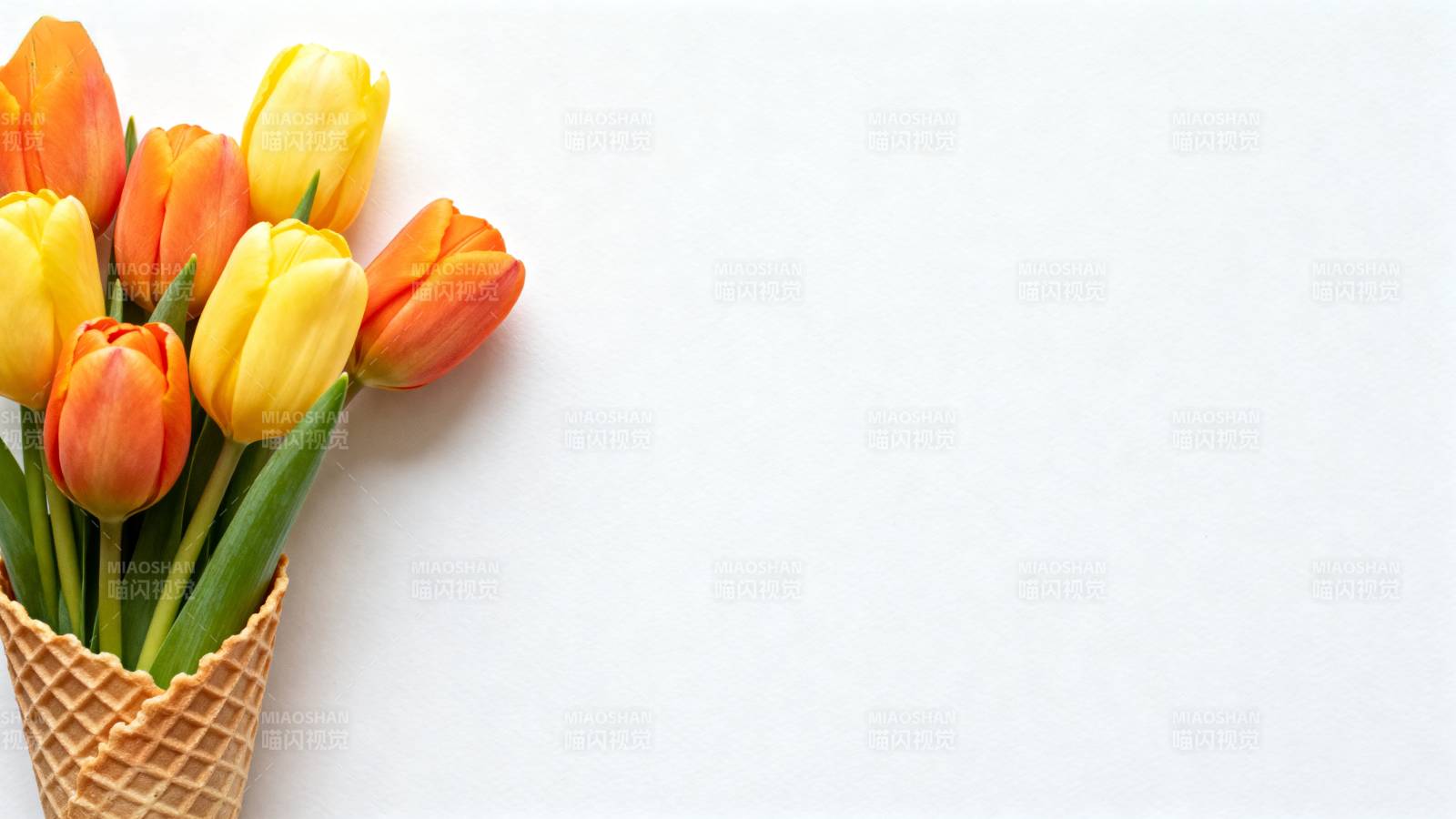 郁金香花束图片