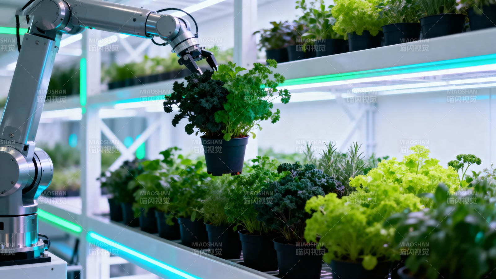 智能温室种植图片