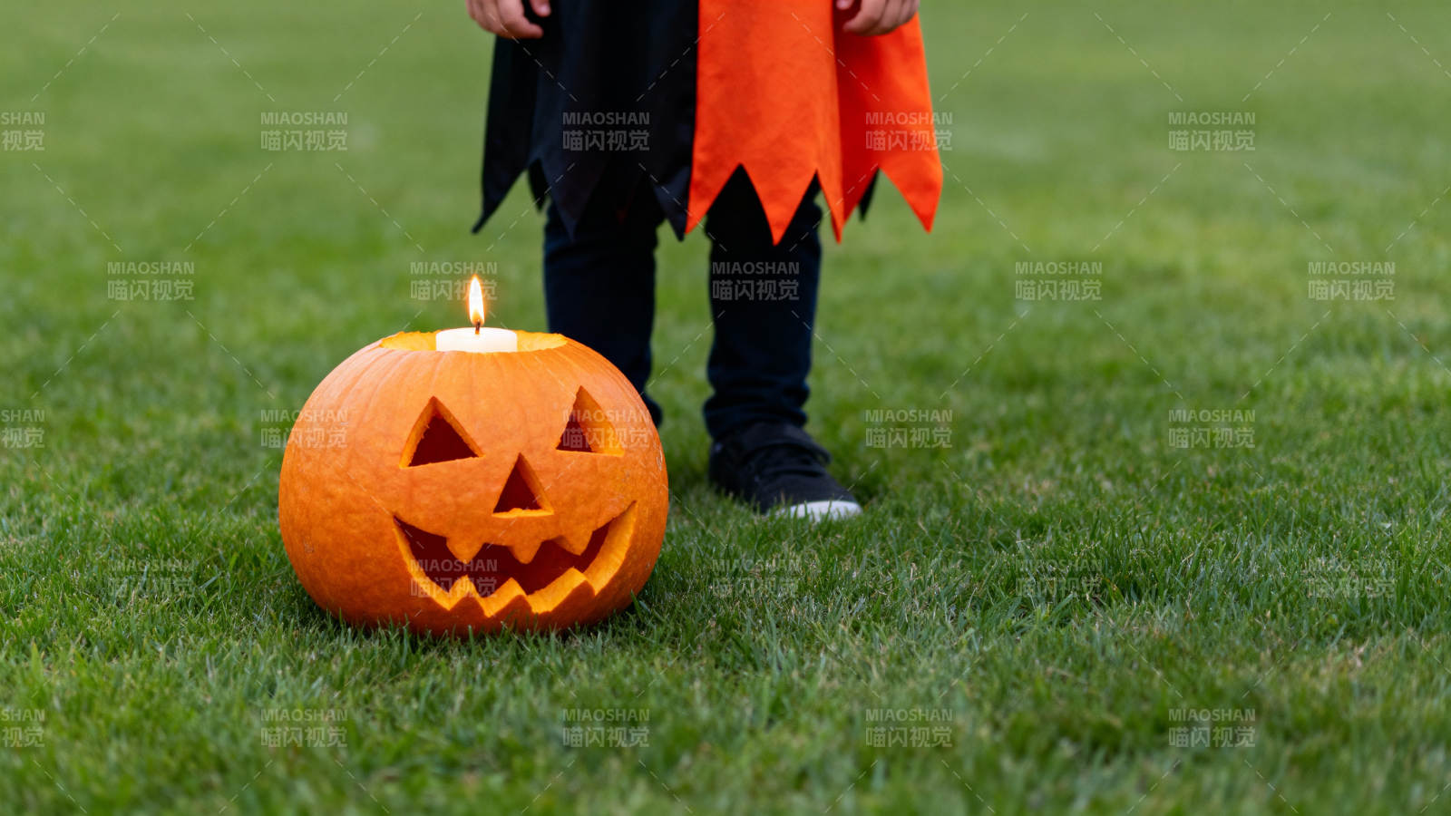 南瓜灯与小巫师图片