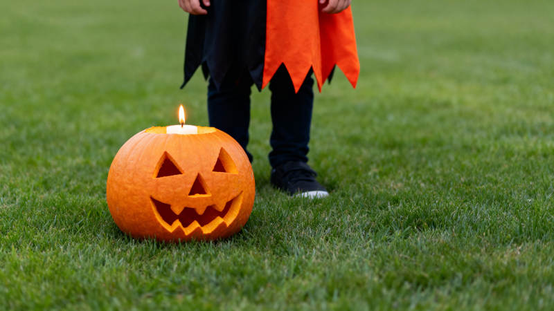 南瓜灯与小巫师图片