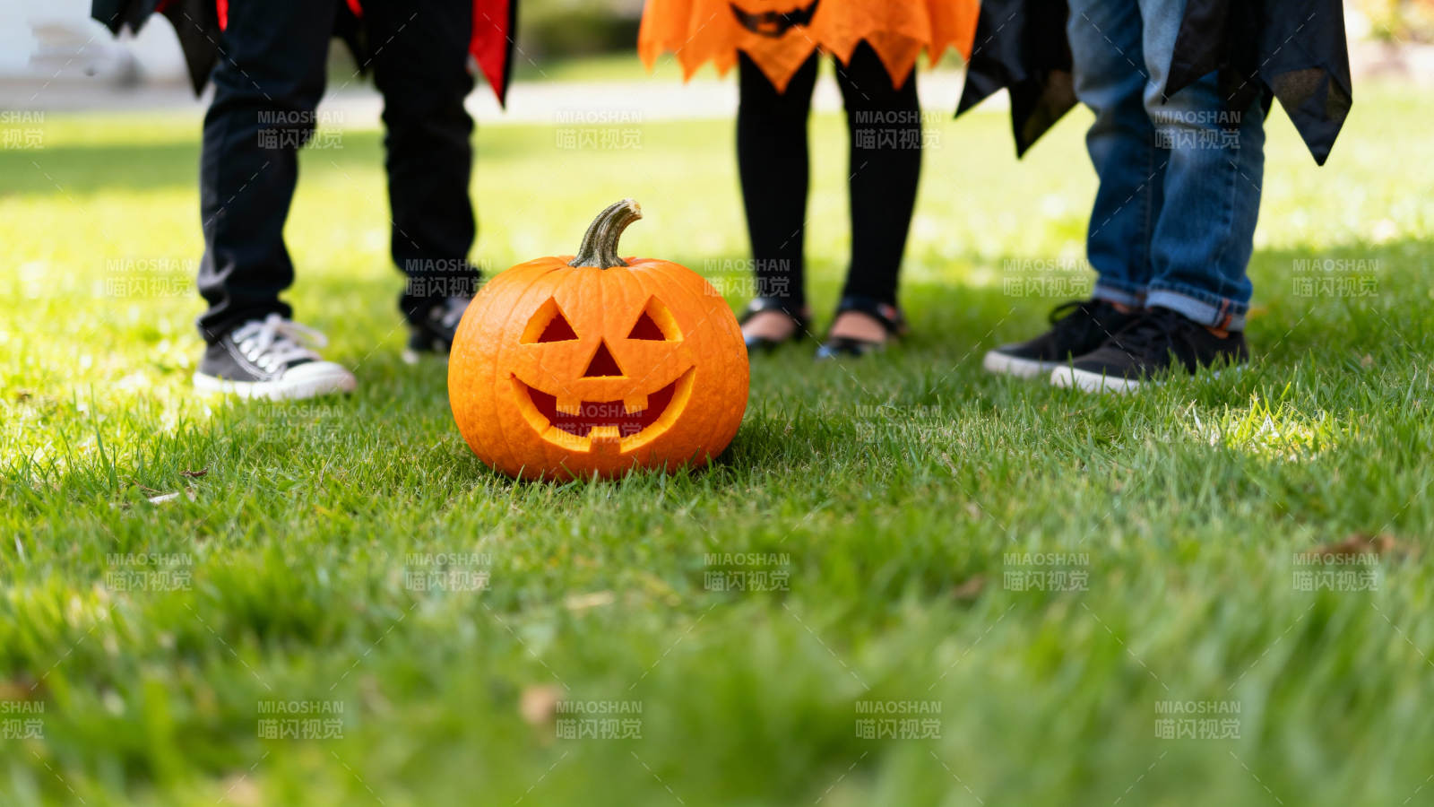 万圣节南瓜灯前的童趣图片