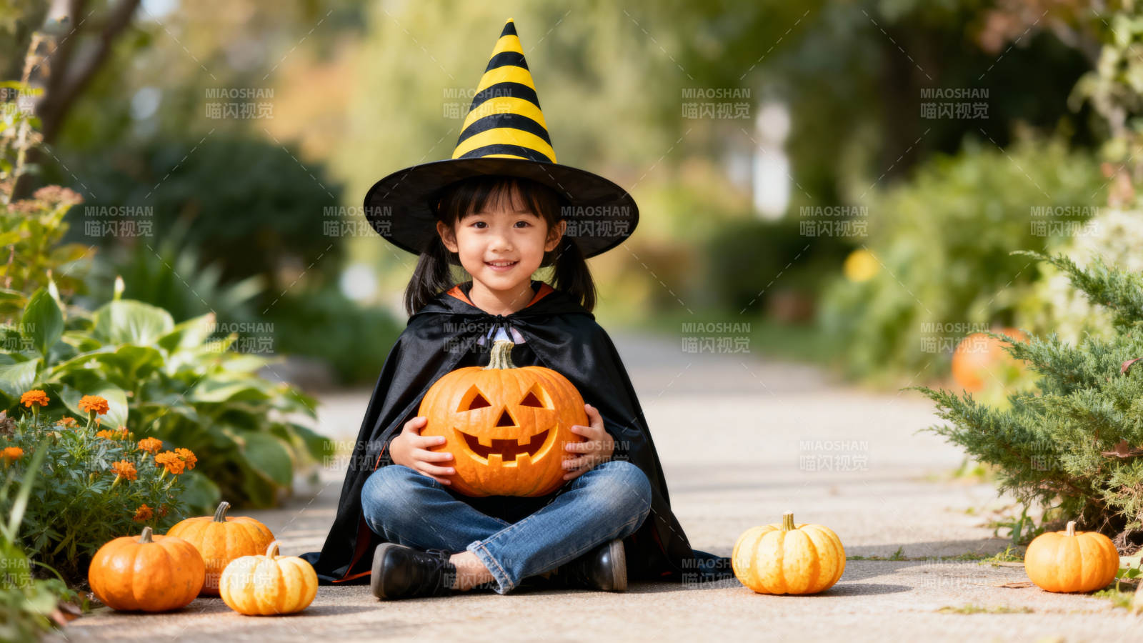 小巫师与南瓜灯图片