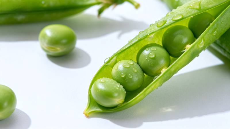 新鲜豌豆荚特写图片