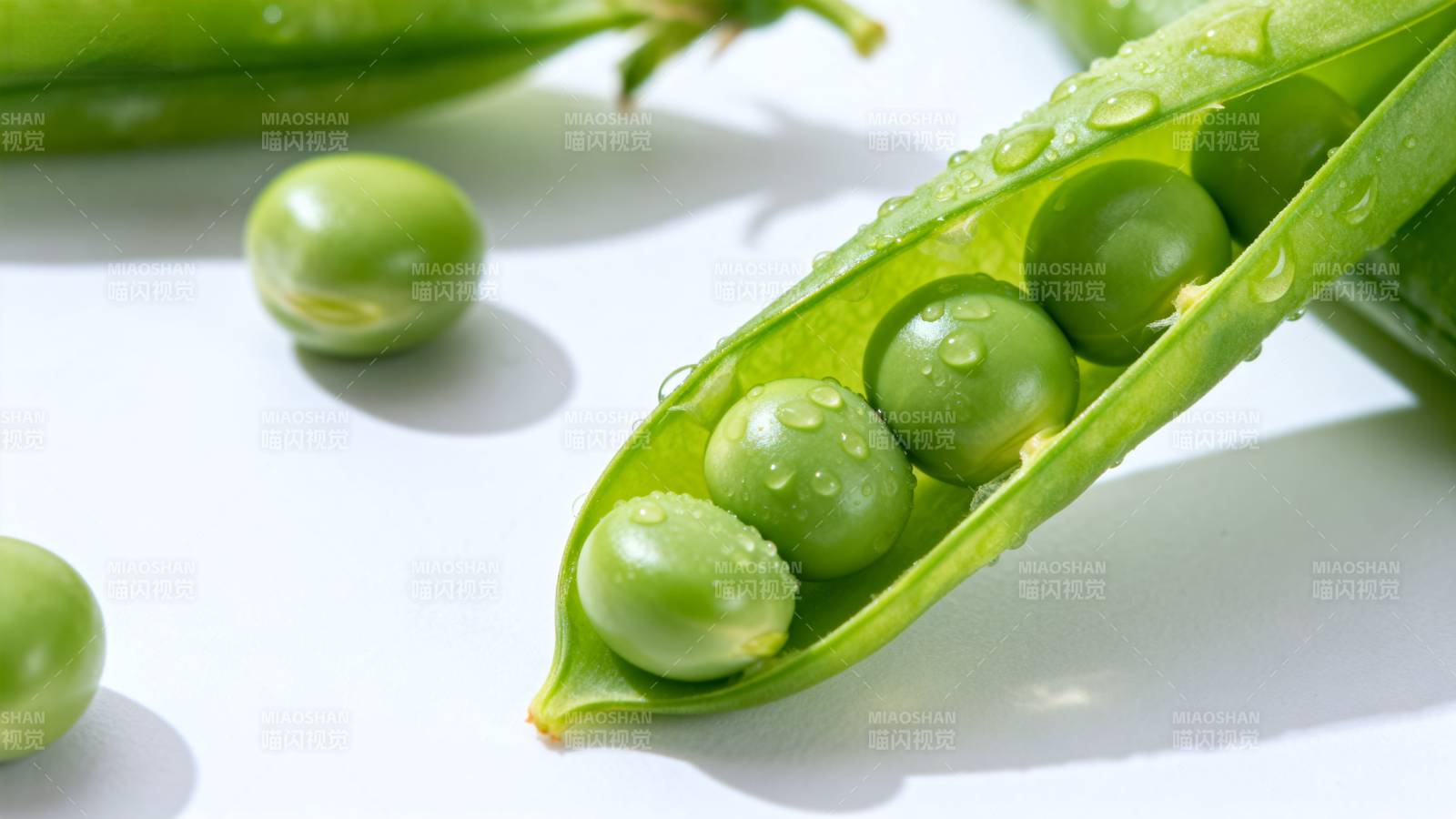 新鲜豌豆荚特写图片