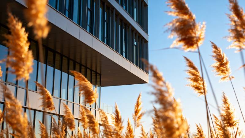 金穗映现代建筑图片