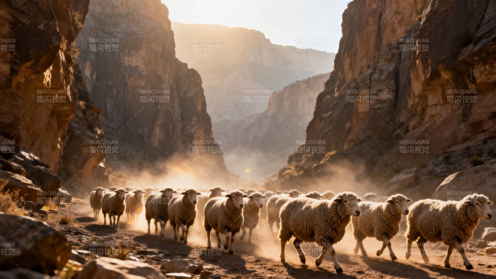 羊群穿行峡谷图片