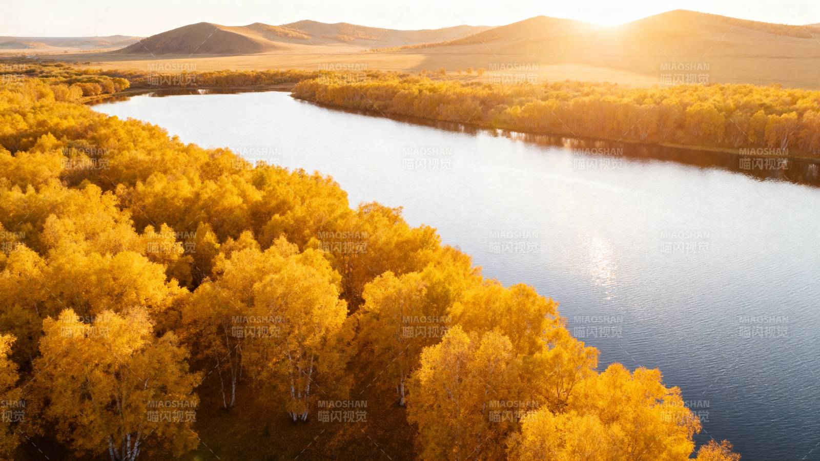 秋日湖畔金林图片