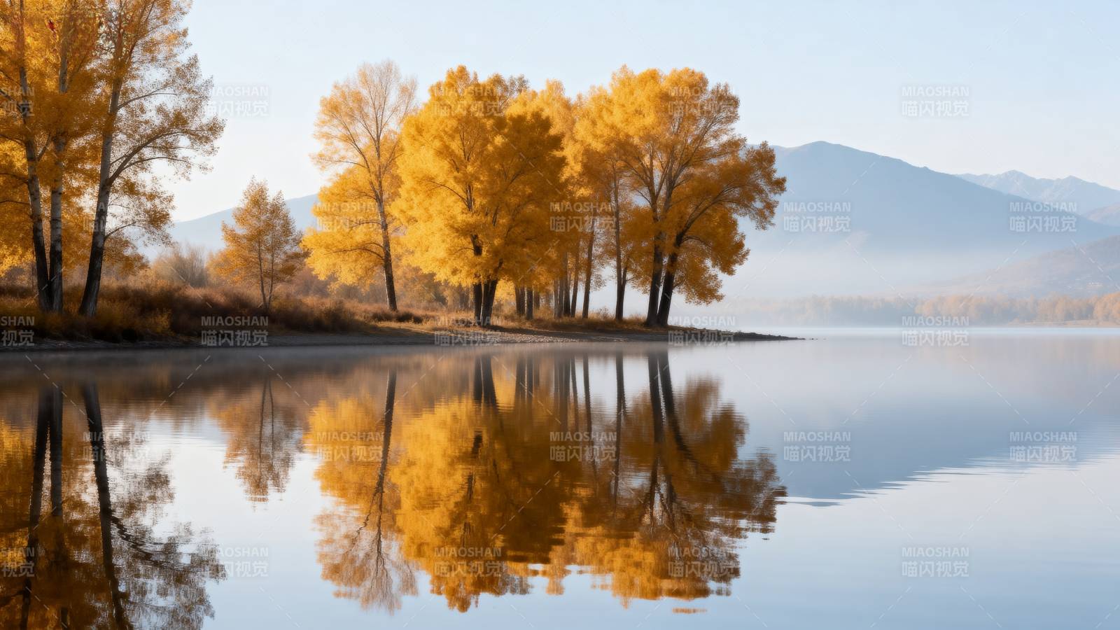 秋湖映金树图片