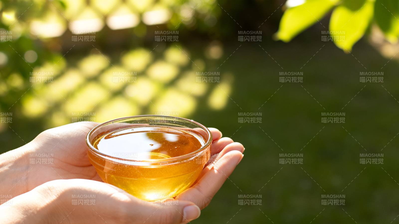 手捧金黄蜂蜜 阳光洒落图片