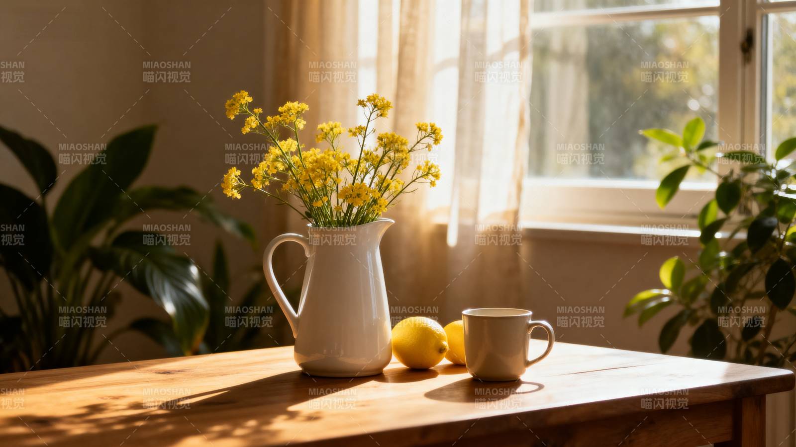 窗边静谧花影图片