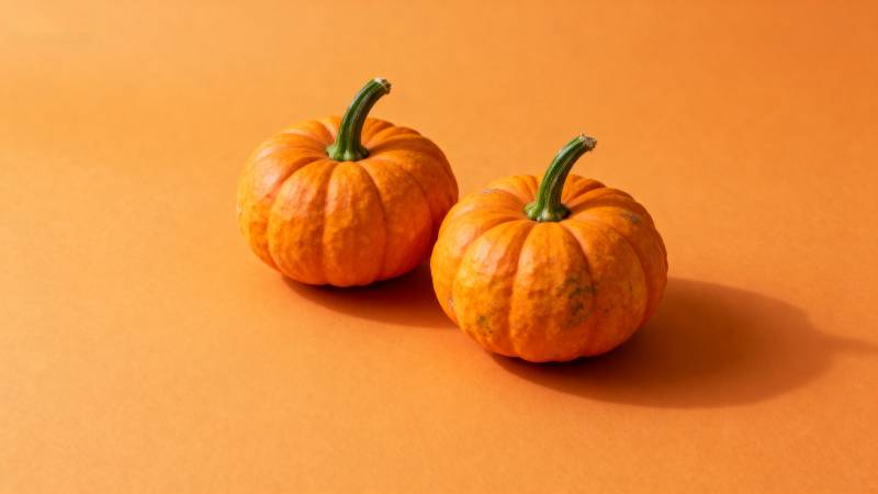 双橙南瓜静置图图片