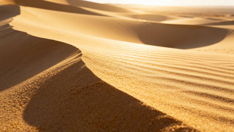 金色沙丘晨曦图片