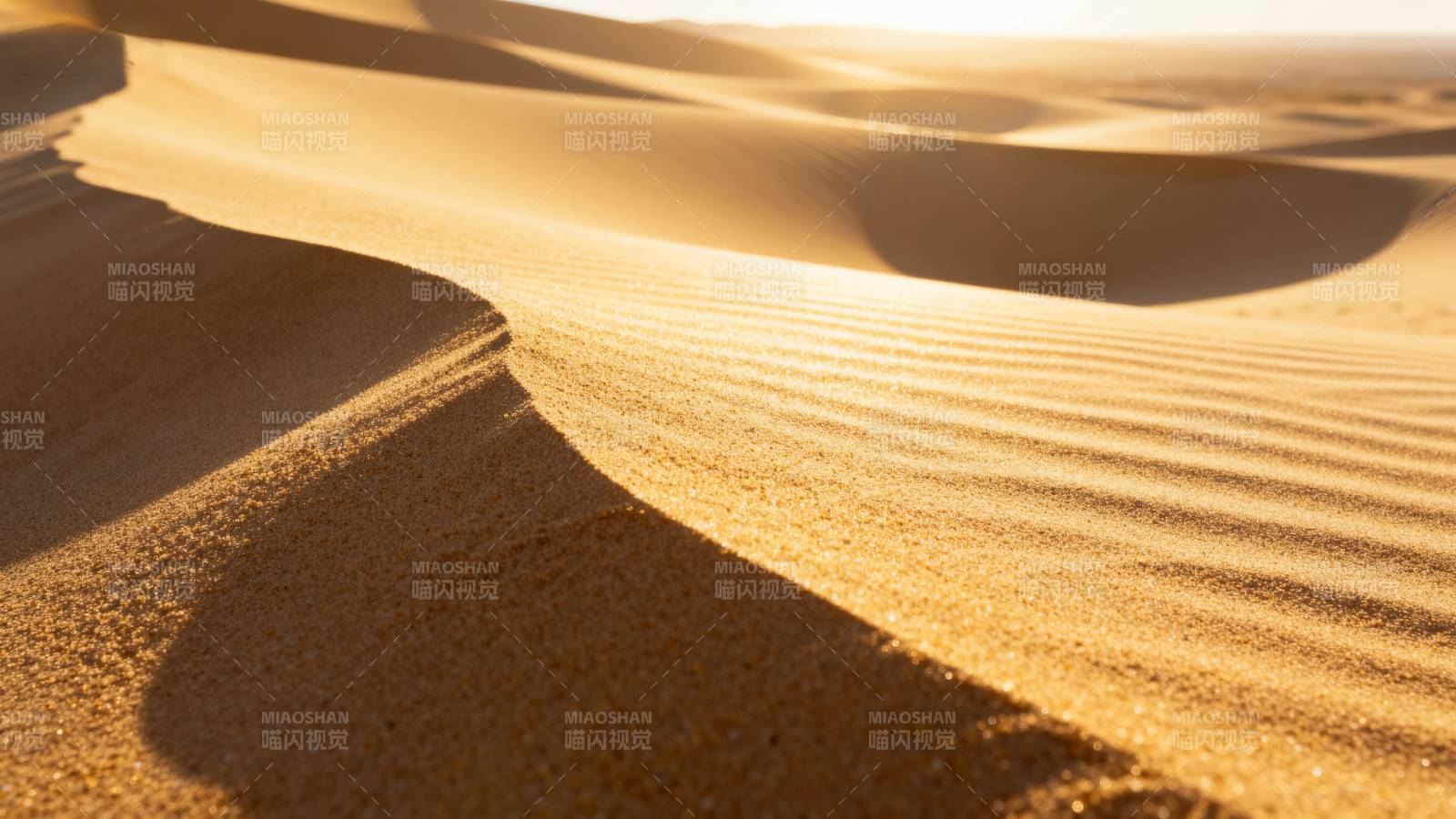 金色沙丘晨曦图片