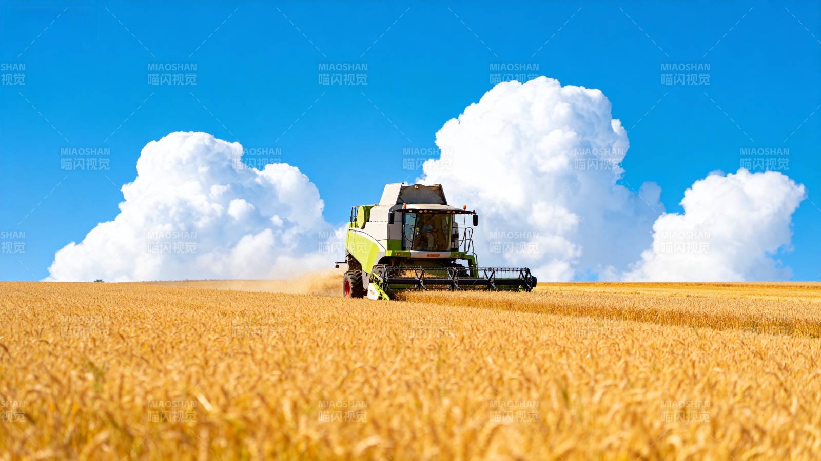 金田收割机作业图片
