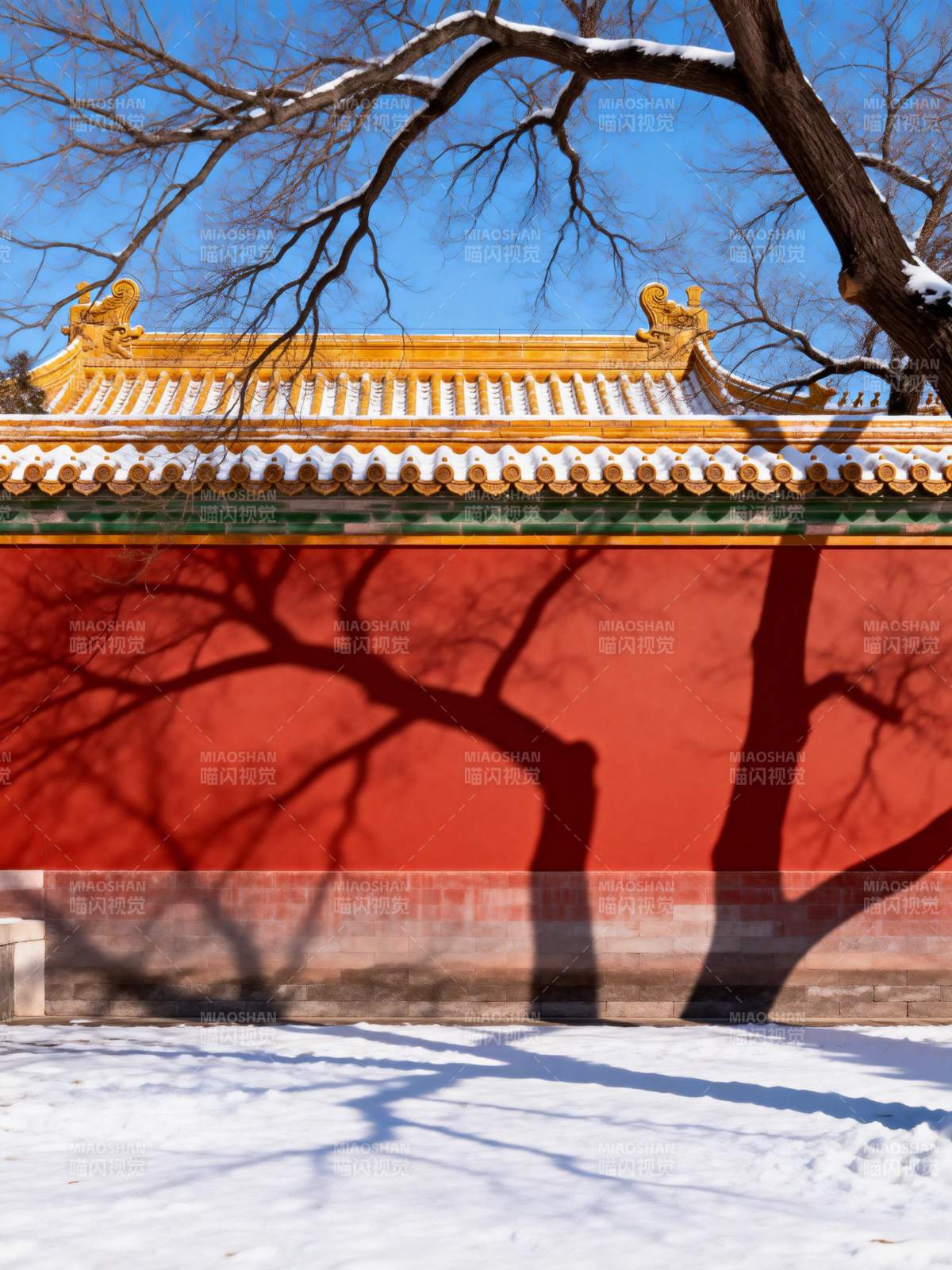 雪映红墙金瓦图片