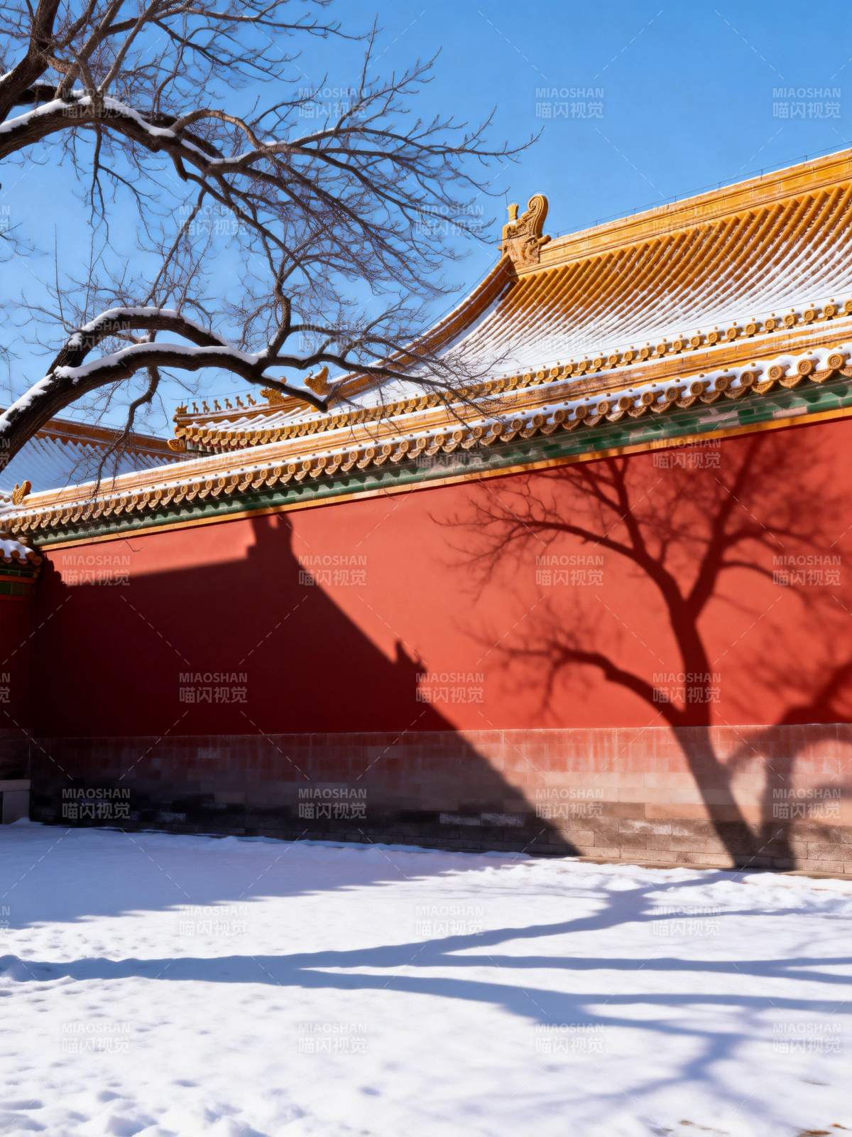 雪映红墙金瓦图片