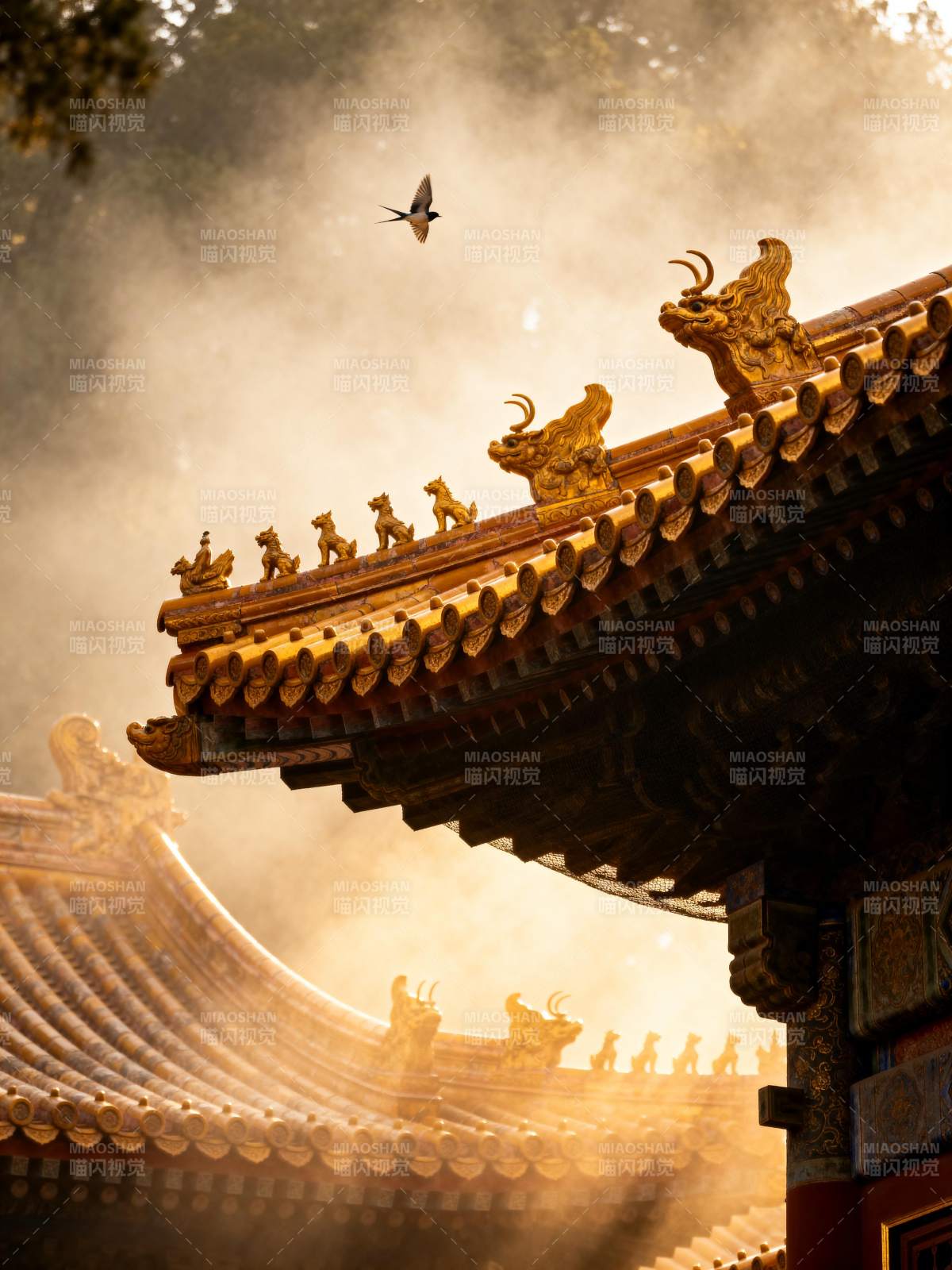 晨雾中的古殿飞鸟图片