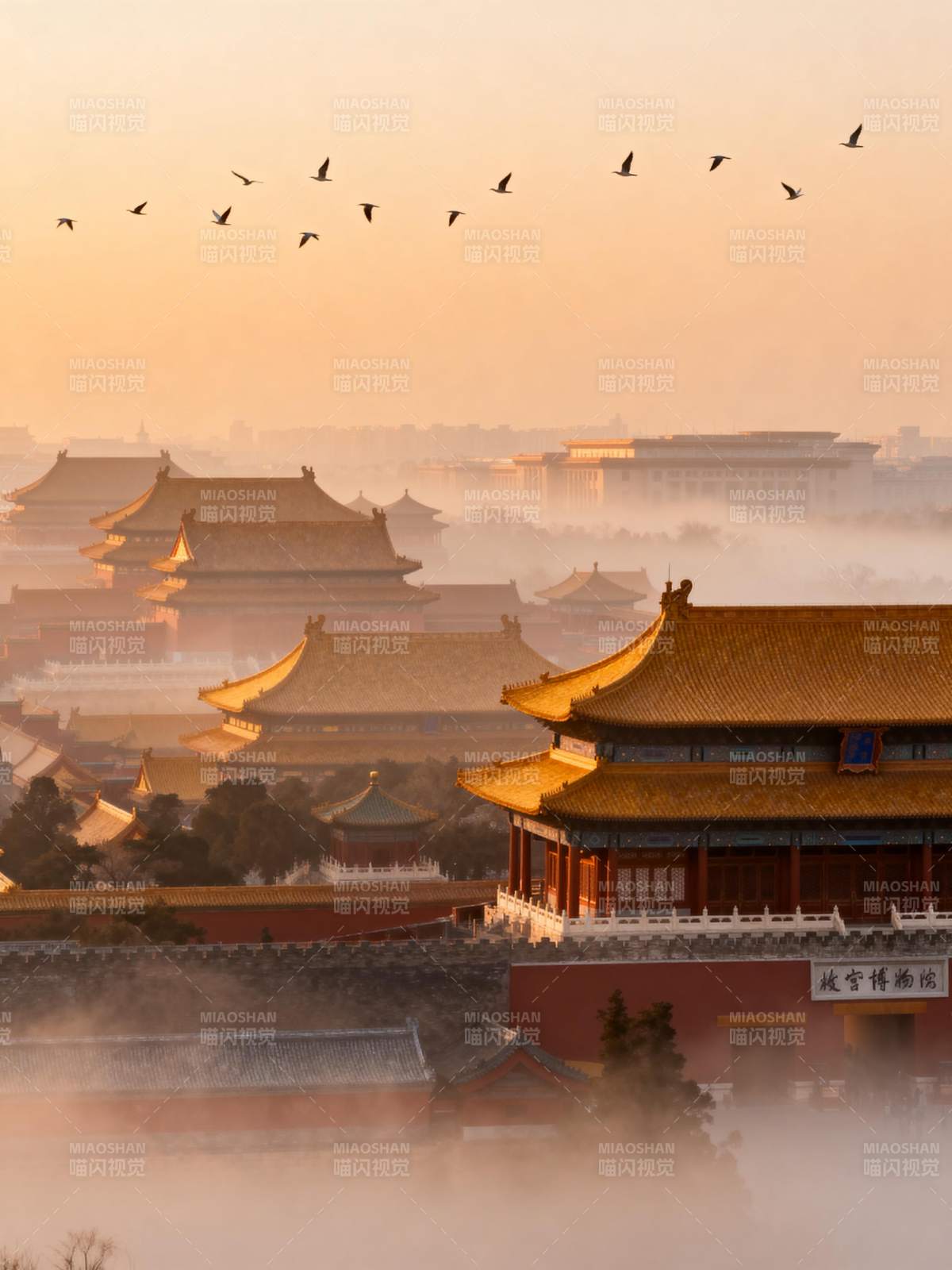 故宫晨雾飞雁图片