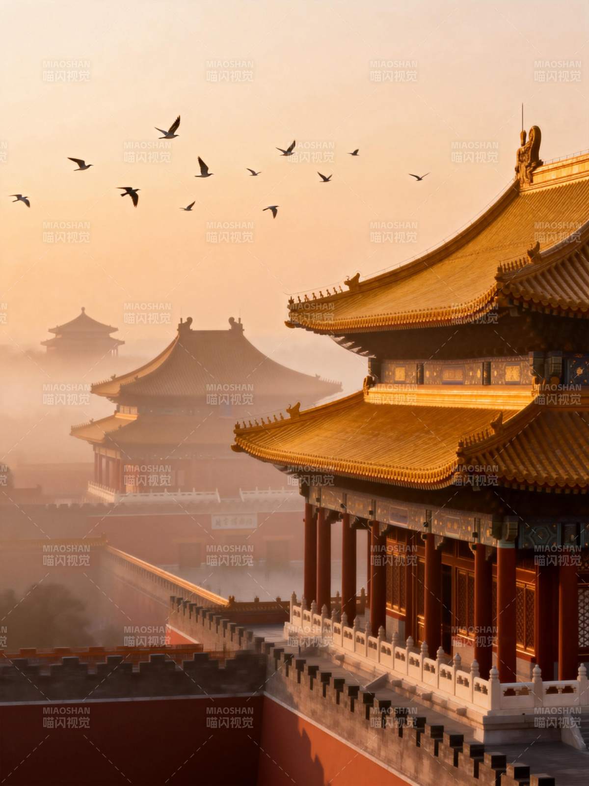 故宫晨曦飞鸟图片