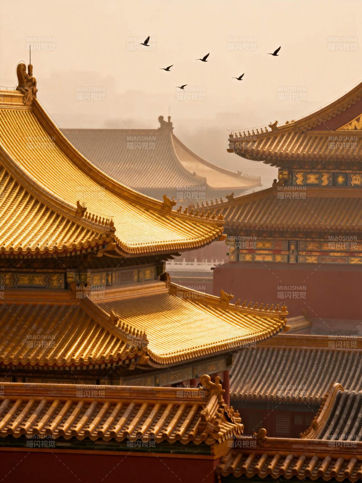 金顶飞鸟映古宫图片