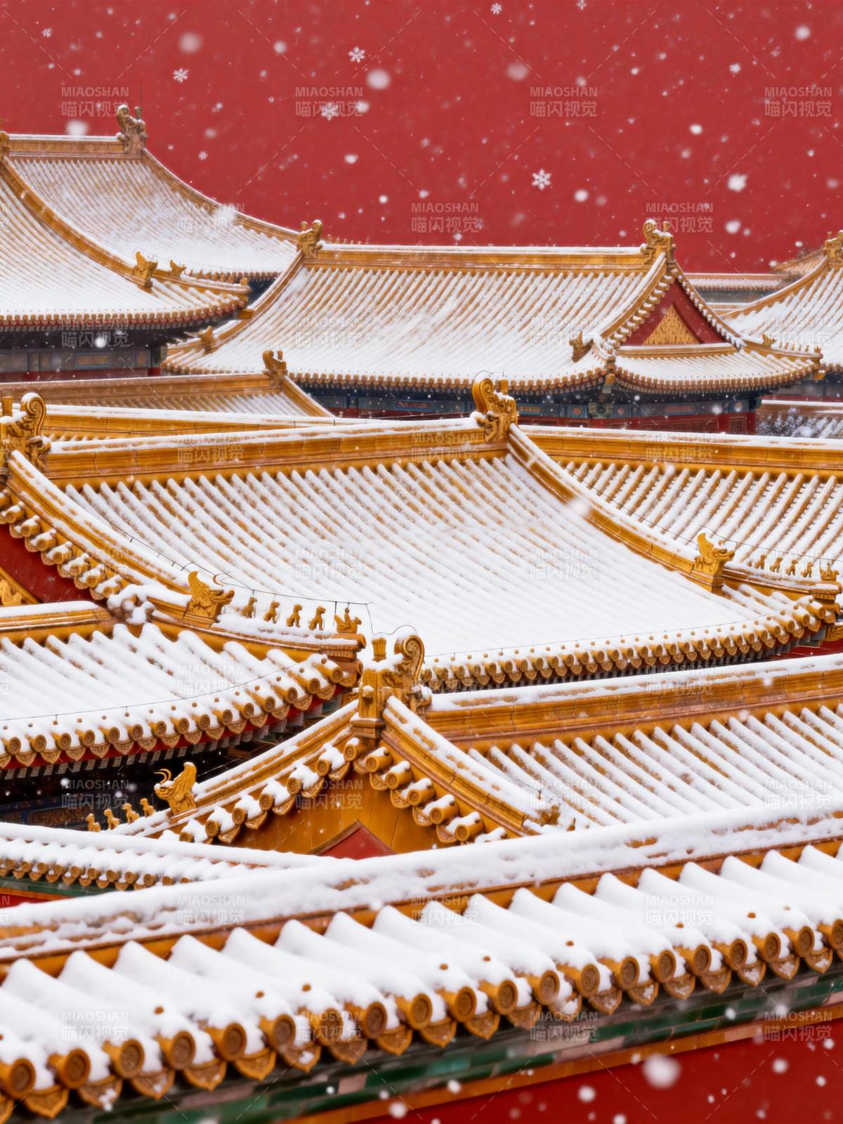 雪落宫檐图片