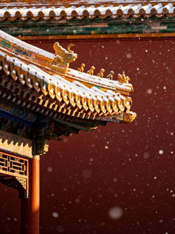 雪落宫檐 金瓦生辉图片