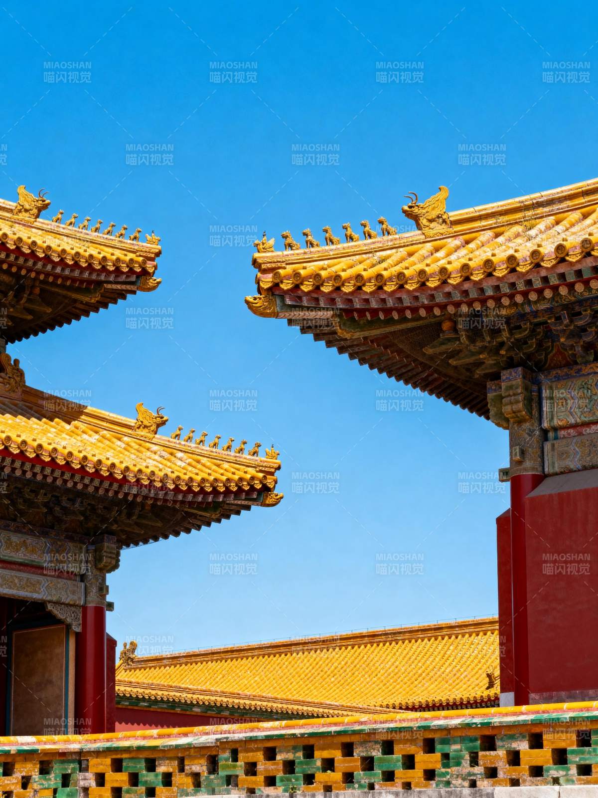 故宫金顶映蓝天图片