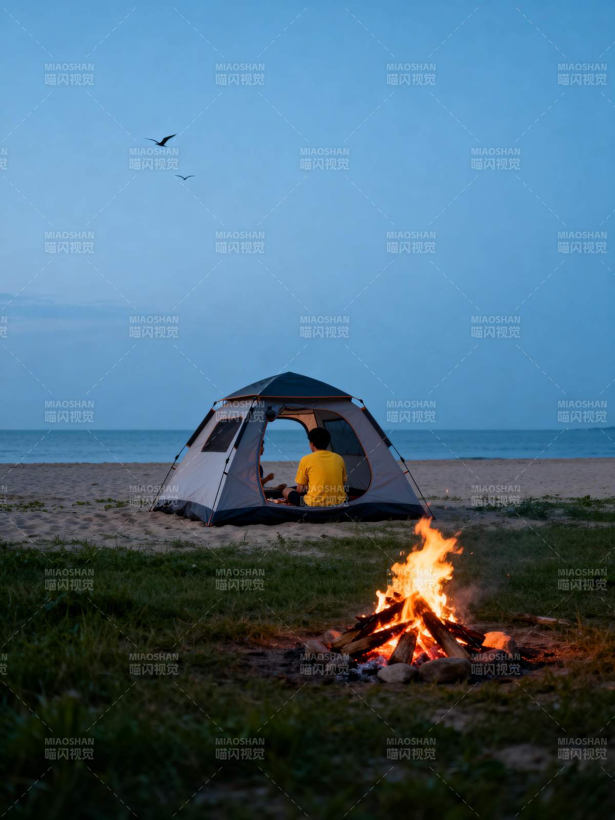 海边露营篝火夜图片