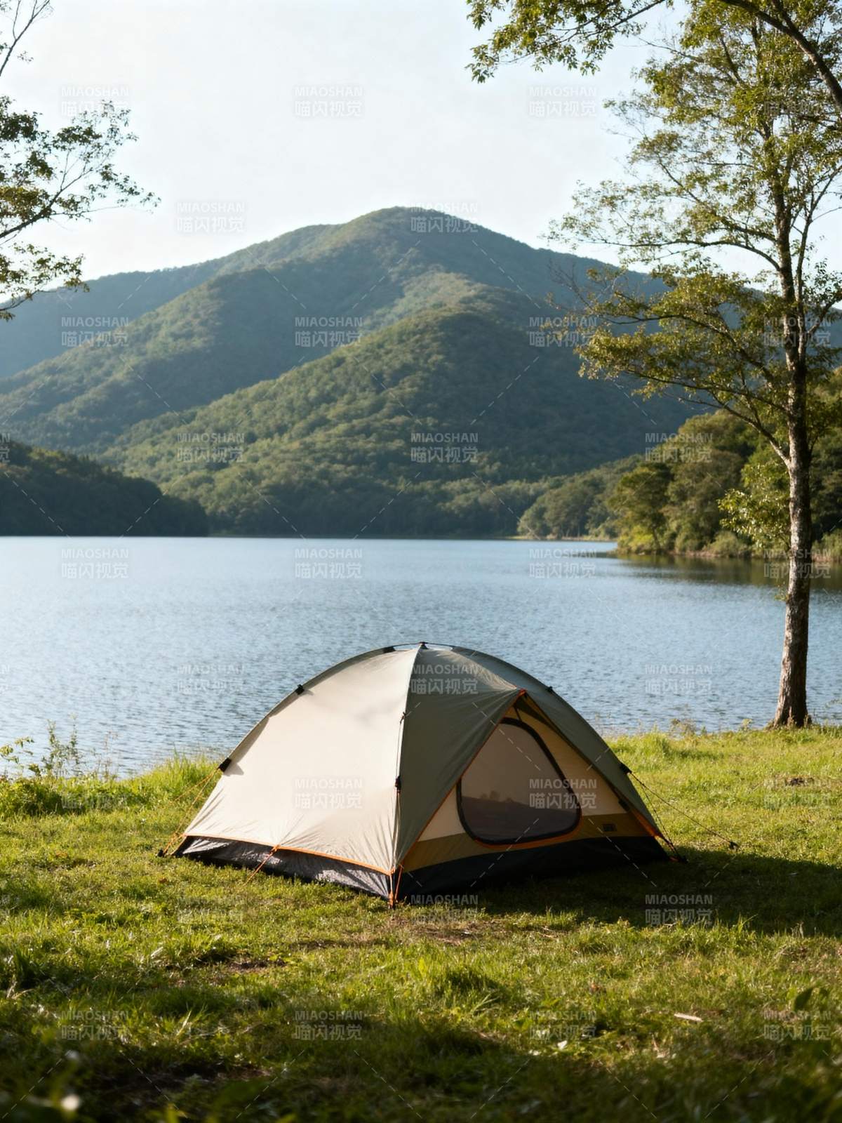 湖畔露营 山景如画图片