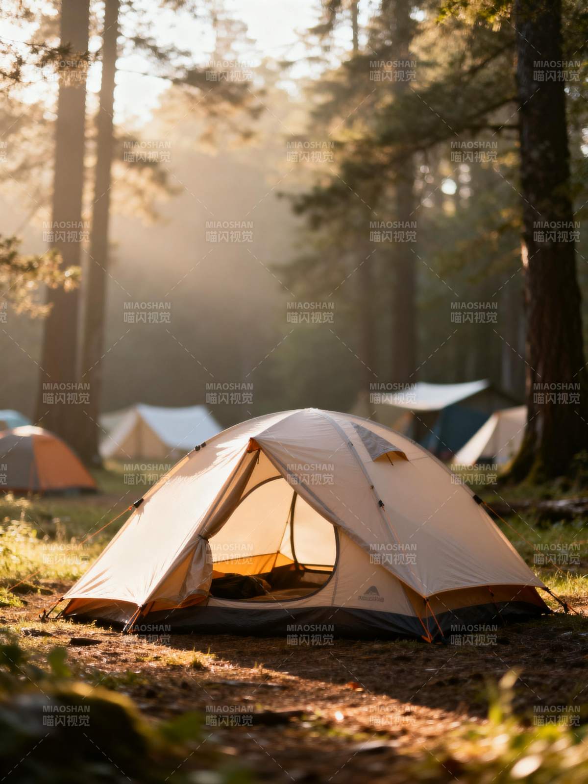林间晨光露营图片