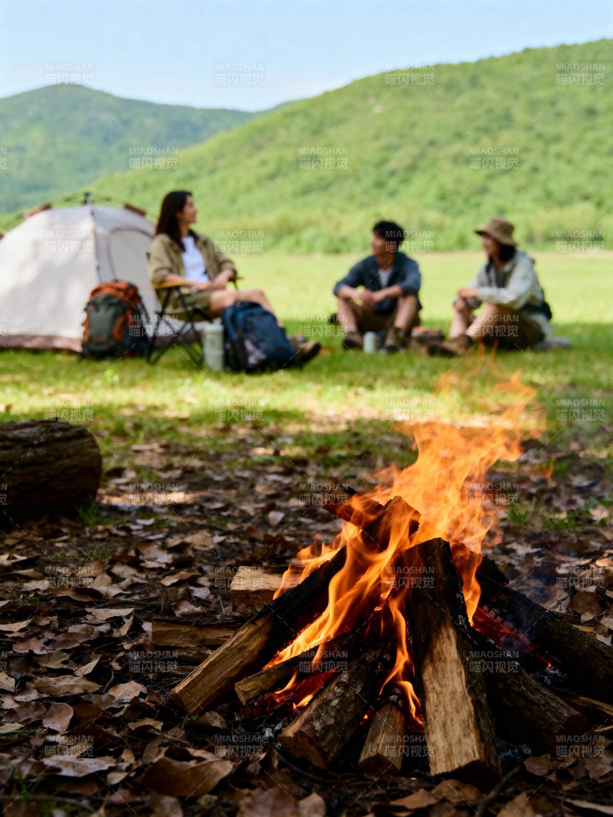 篝火旁的露营时光图片