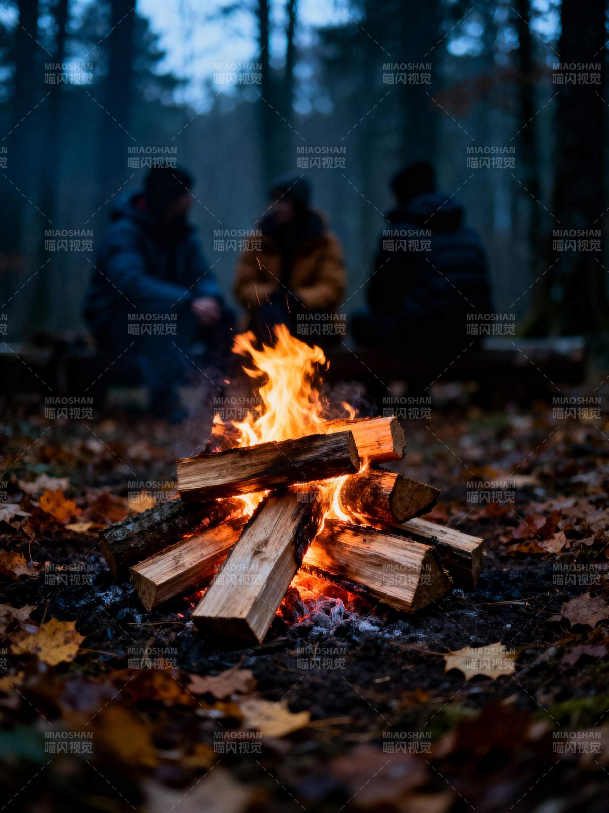 篝火旁的静谧时光图片