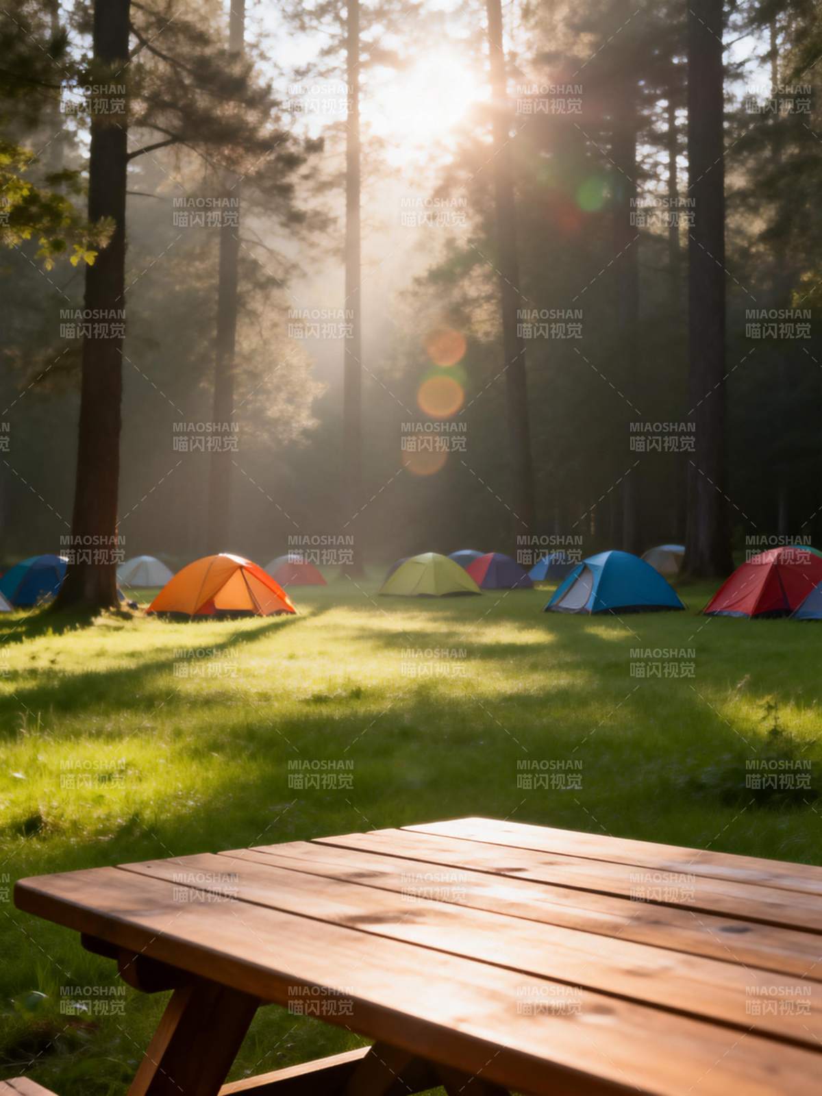 森林晨光露营图片