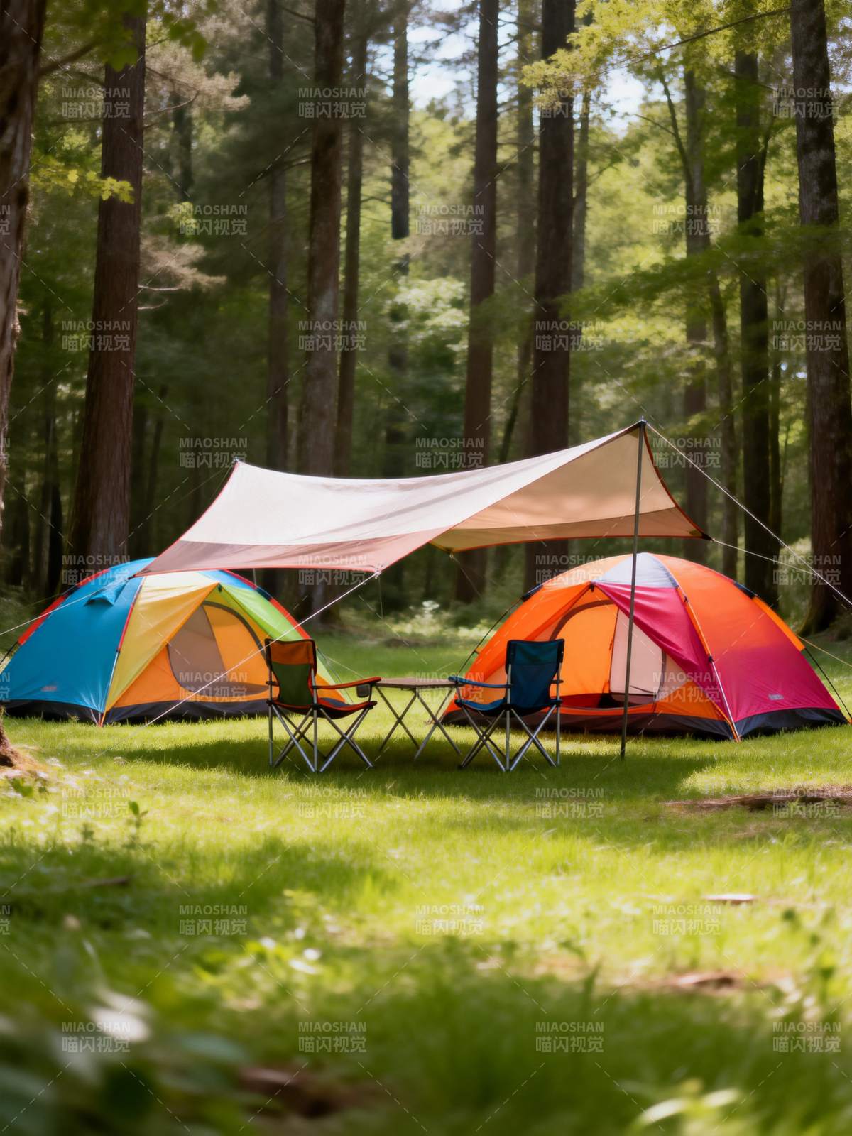 森林露营 色彩斑斓图片